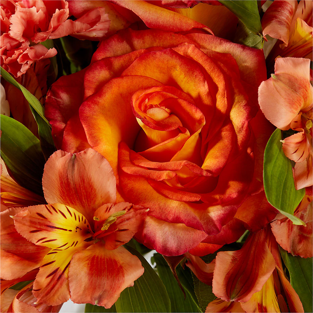 Apricot Glow Bouquet – MAIN STREET FLORIST & GIFTS, Ridgefield CT