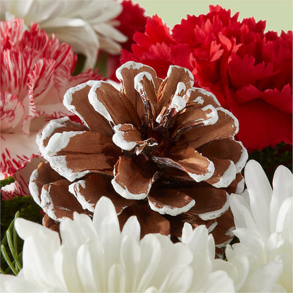 Candy Cane Lane Bouquet – MAIN STREET FLORIST & GIFTS, Ridgefield CT