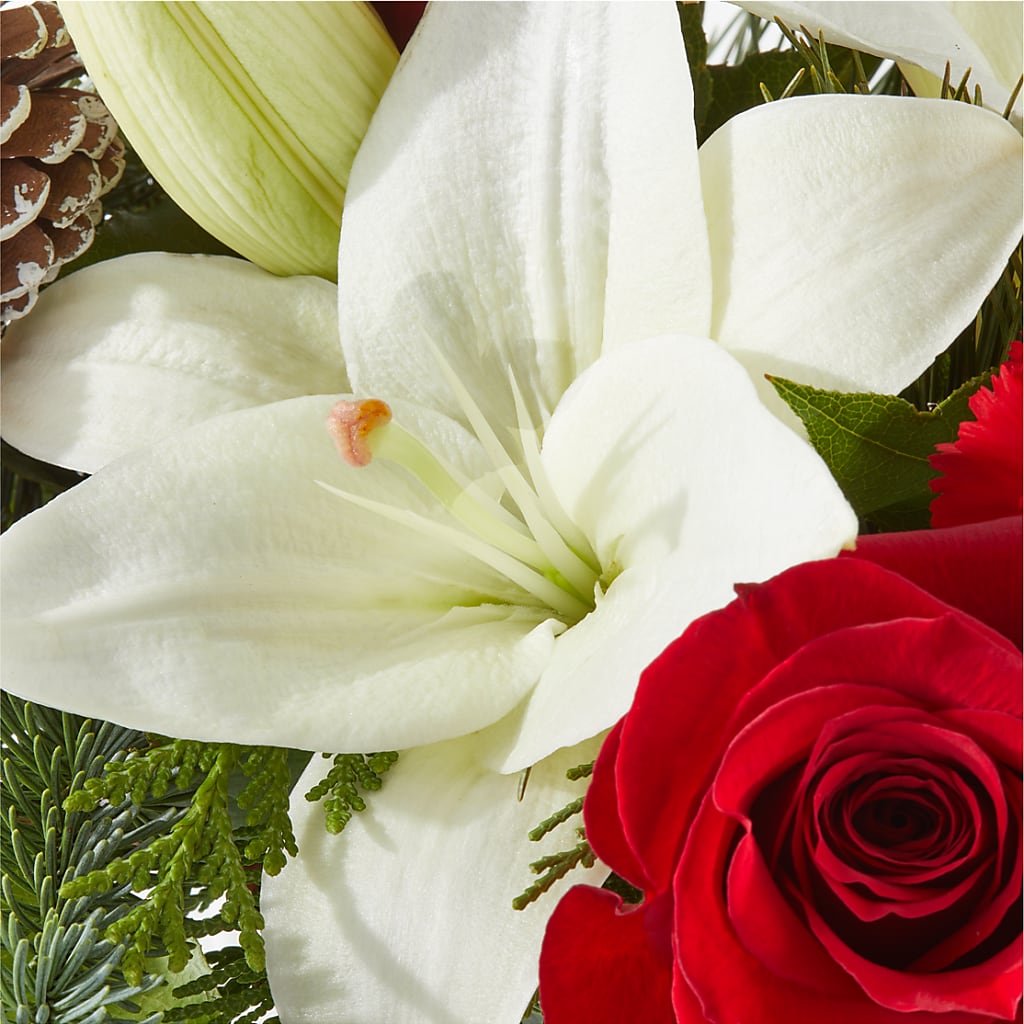 Oh So Jolly Bouquet – MAIN STREET FLORIST & GIFTS, Ridgefield CT