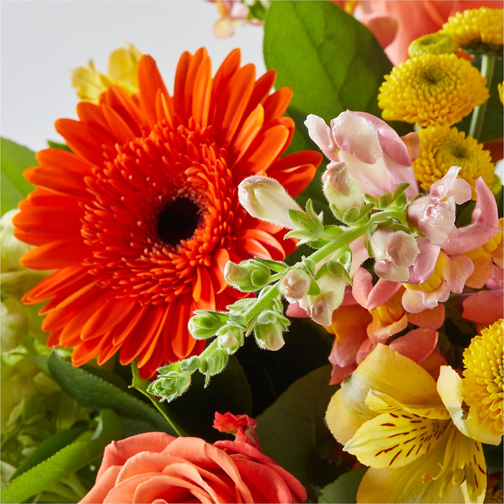 Autumn Sunshine Bouquet – MAIN STREET FLORIST & GIFTS, Ridgefield CT