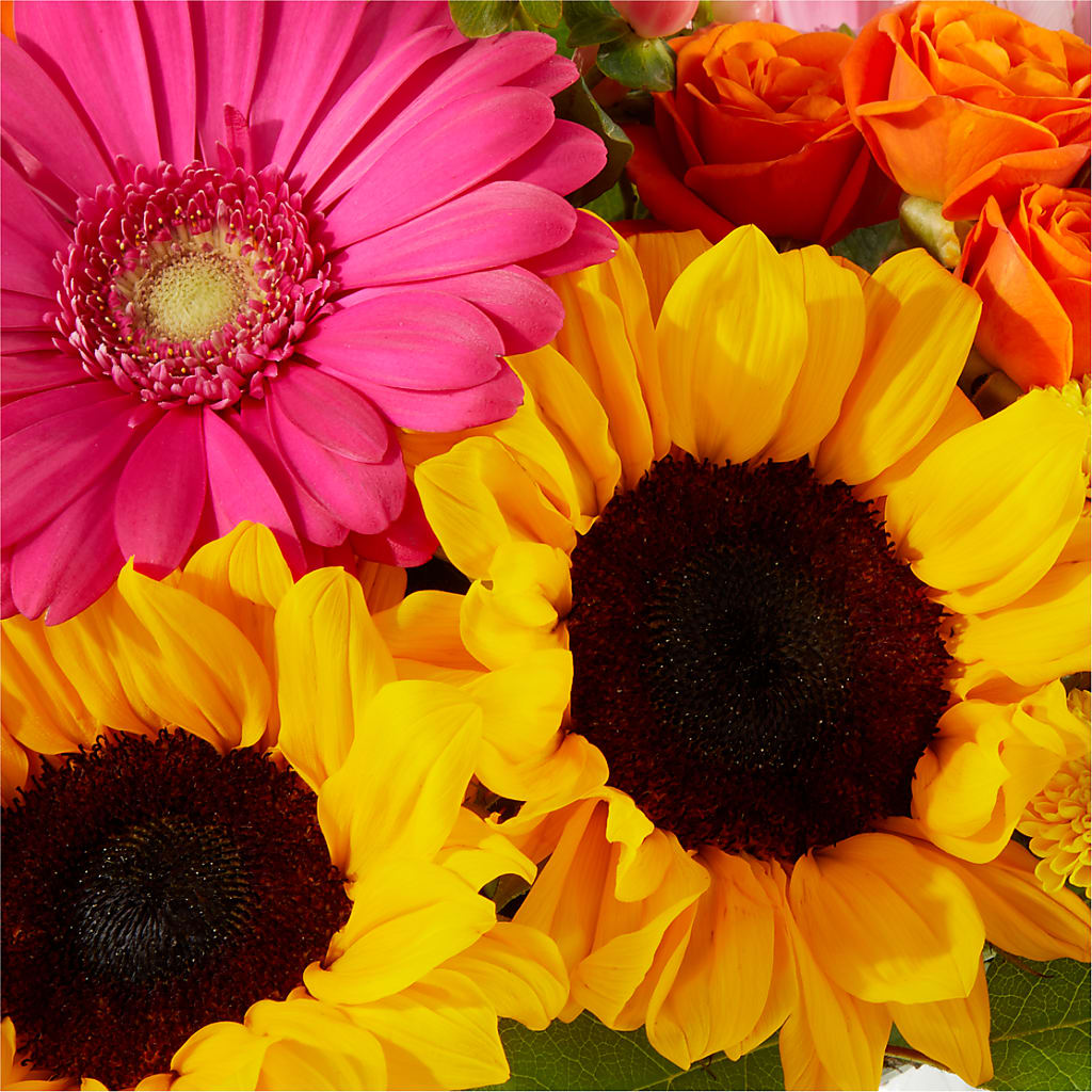 Beach Day Bouquet – MAIN STREET FLORIST & GIFTS, Ridgefield CT