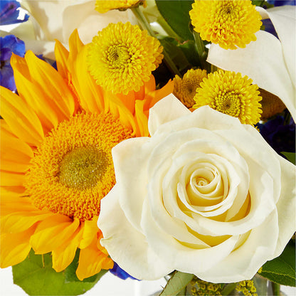 Stargazing Bouquet – MAIN STREET FLORIST & GIFTS, Ridgefield CT