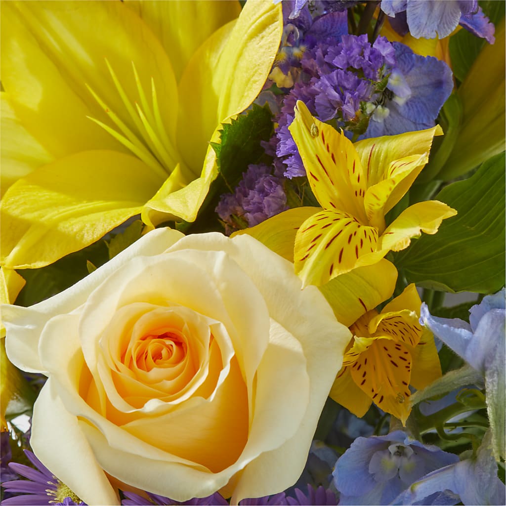Limoncello Bouquet – MAIN STREET FLORIST & GIFTS, Ridgefield CT