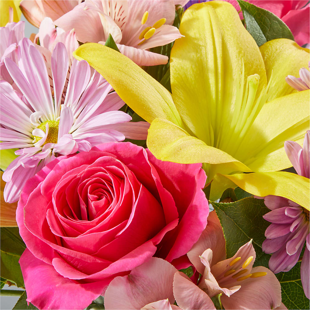 Sprinkles Bouquet – MAIN STREET FLORIST & GIFTS, Ridgefield CT