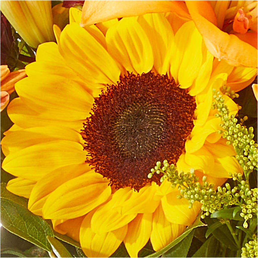 Seasons Change Bouquet – MAIN STREET FLORIST & GIFTS, Ridgefield CT