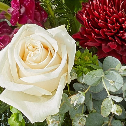 Cranberry Fizz Bouquet – MAIN STREET FLORIST & GIFTS, Ridgefield CT