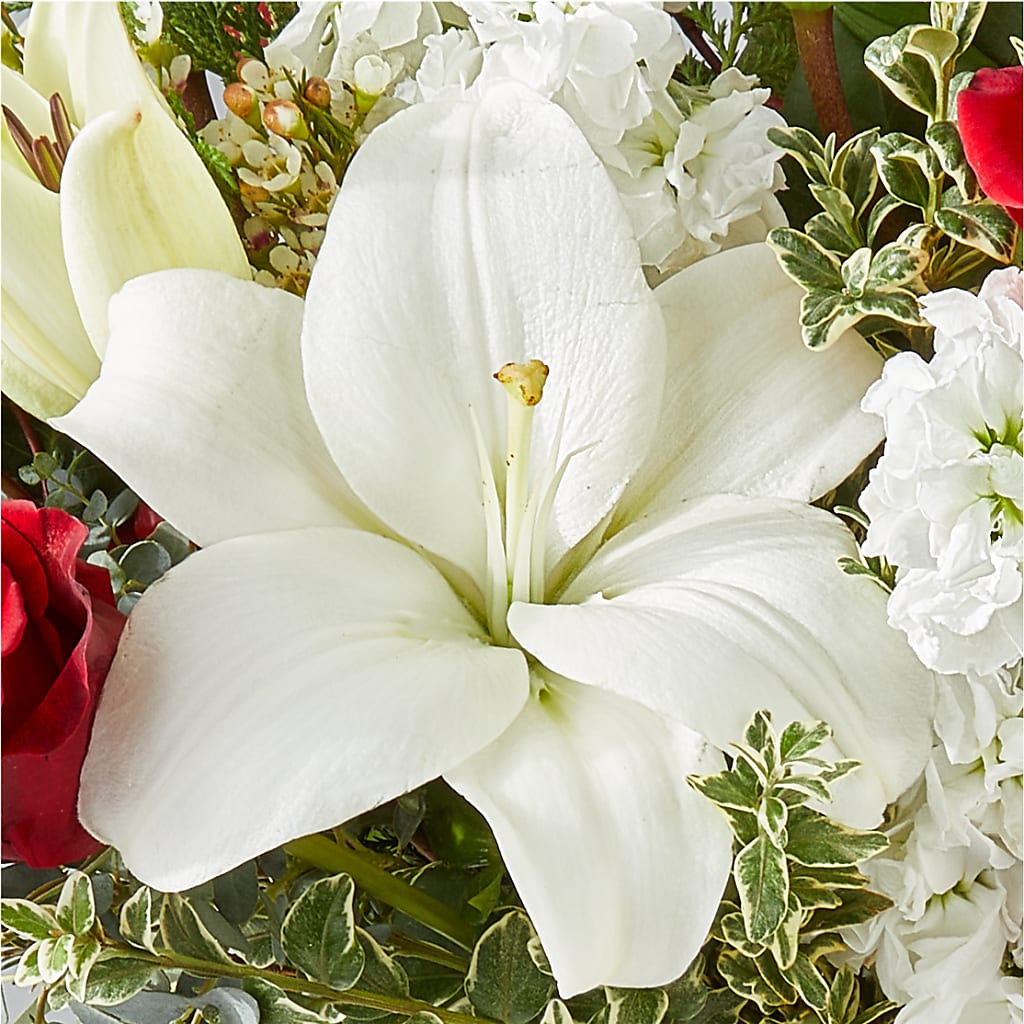 Twinkle Lights Bouquet – MAIN STREET FLORIST & GIFTS, Ridgefield CT