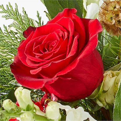 Deck the Halls Bouquet – MAIN STREET FLORIST & GIFTS, Ridgefield CT