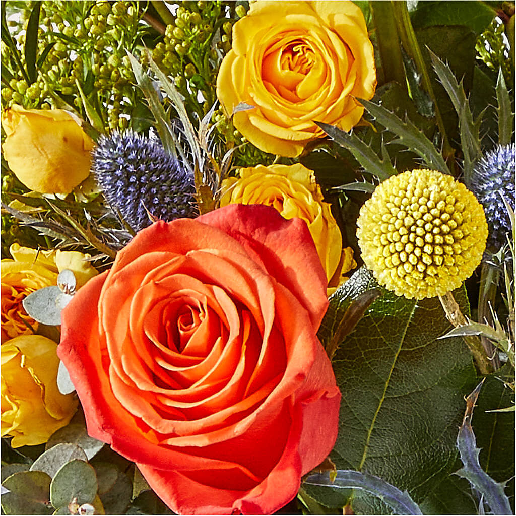 Disco Bouquet – MAIN STREET FLORIST & GIFTS, Ridgefield CT