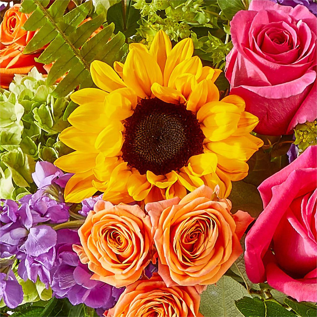 Vibrant Greetings Bouquet – MAIN STREET FLORIST & GIFTS, Ridgefield CT