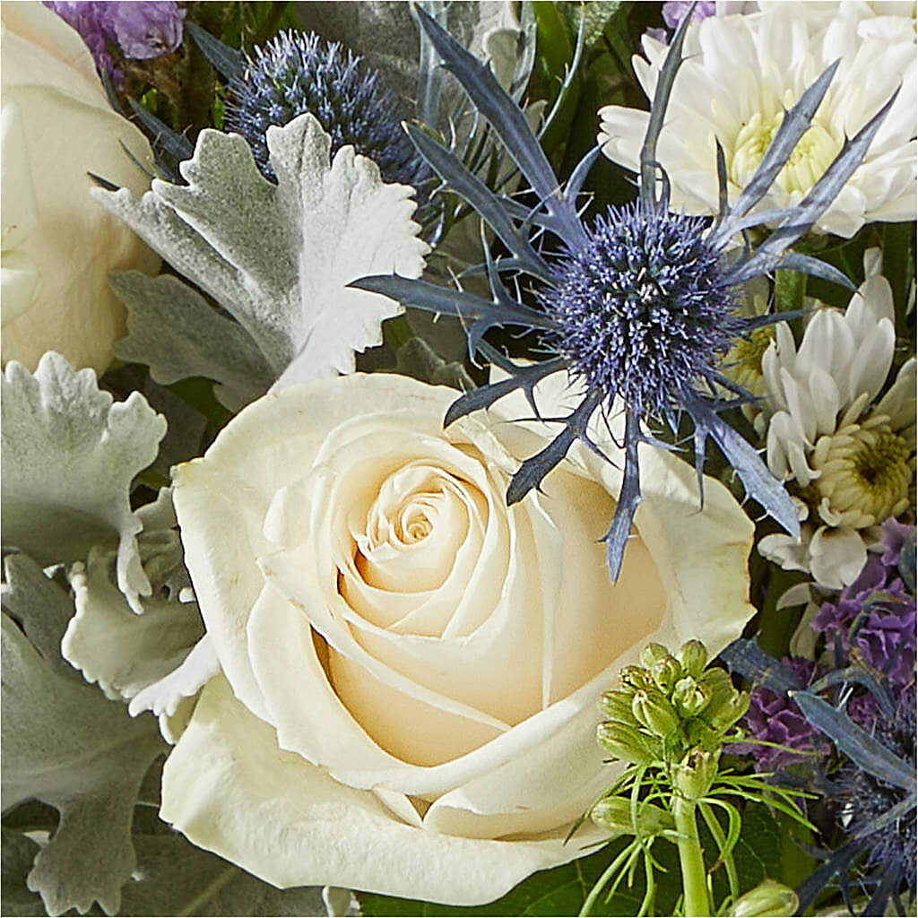 Shooting Star Bouquet – MAIN STREET FLORIST & GIFTS, Ridgefield CT