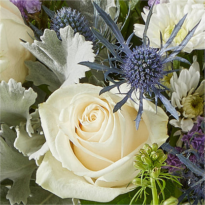 Shooting Star Bouquet – MAIN STREET FLORIST & GIFTS, Ridgefield CT