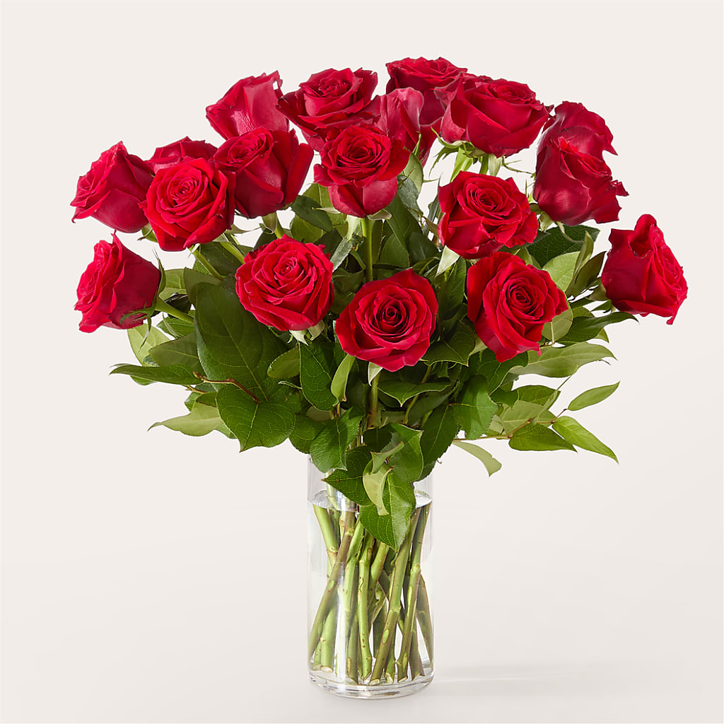 The One Red Rose Bouquet – MAIN STREET FLORIST & GIFTS, Ridgefield CT