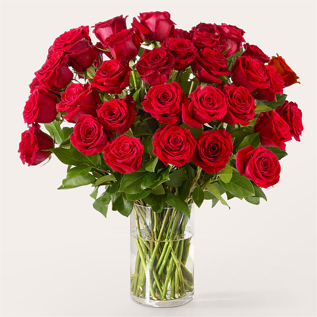 The One Red Rose Bouquet – MAIN STREET FLORIST & GIFTS, Ridgefield CT