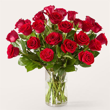 The One Red Rose Bouquet – MAIN STREET FLORIST & GIFTS, Ridgefield CT