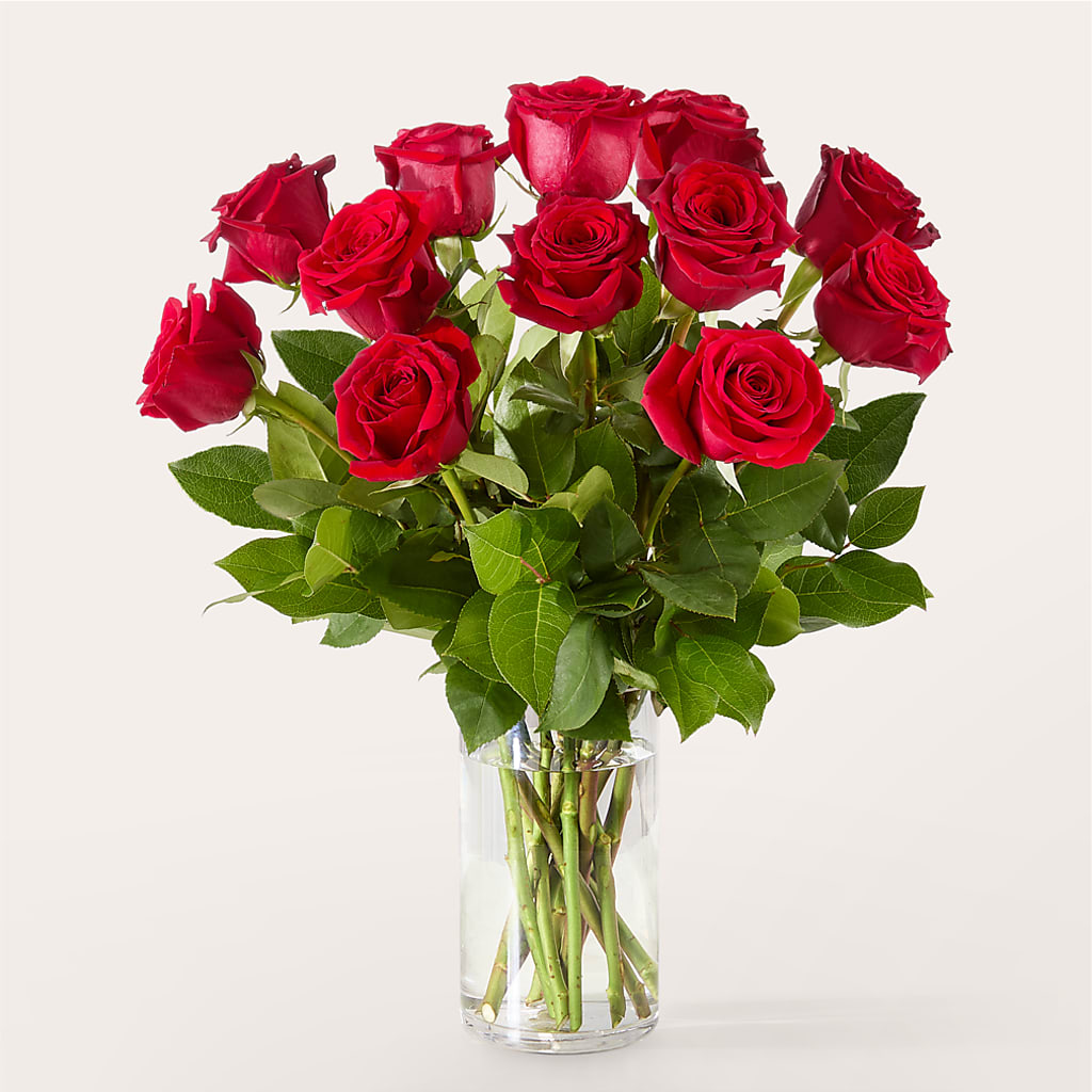 The One Red Rose Bouquet – MAIN STREET FLORIST & GIFTS, Ridgefield CT