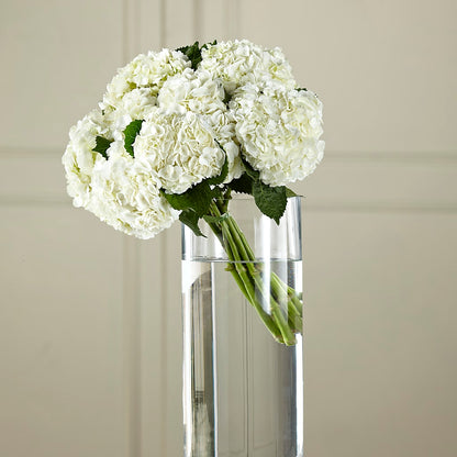 White Hydrangea Hand-Tied Bouquet – MAIN STREET FLORIST & GIFTS, Ridgefield CT