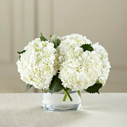 White Hydrangea Bouquet – MAIN STREET FLORIST & GIFTS, Ridgefield CT