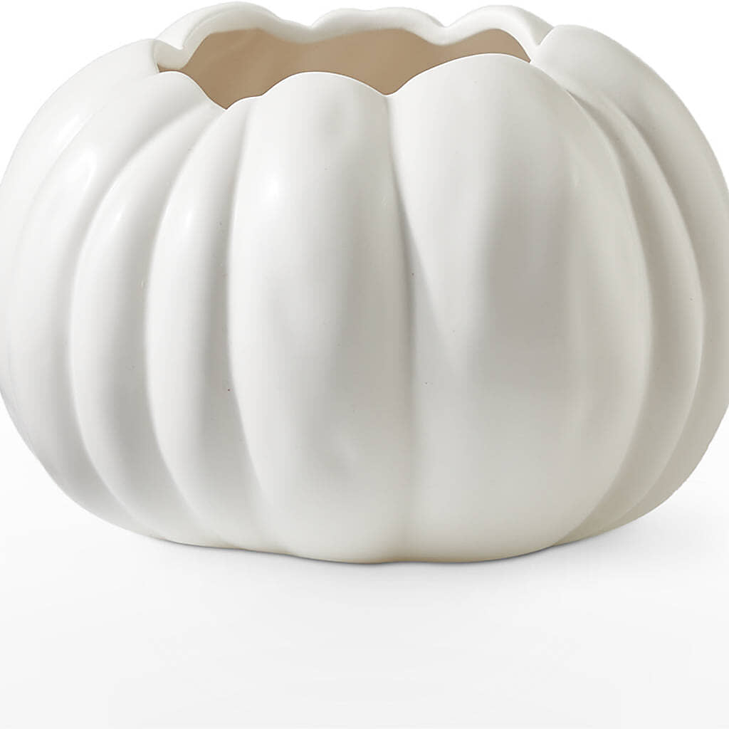 Pumpkin to Talk About Bouquet – MAIN STREET FLORIST & GIFTS, Ridgefield CT