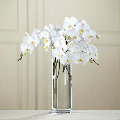 White Phalaenopsis Bouquet – MAIN STREET FLORIST & GIFTS, Ridgefield CT